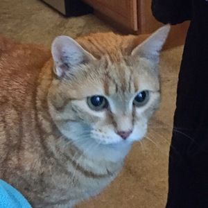 Meet your Posher, Lynne